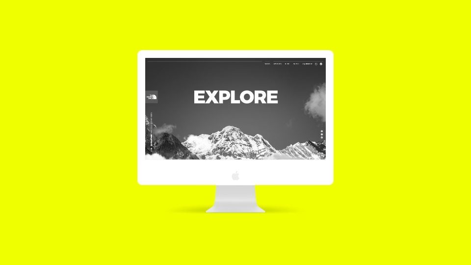 Vertex Client Portal